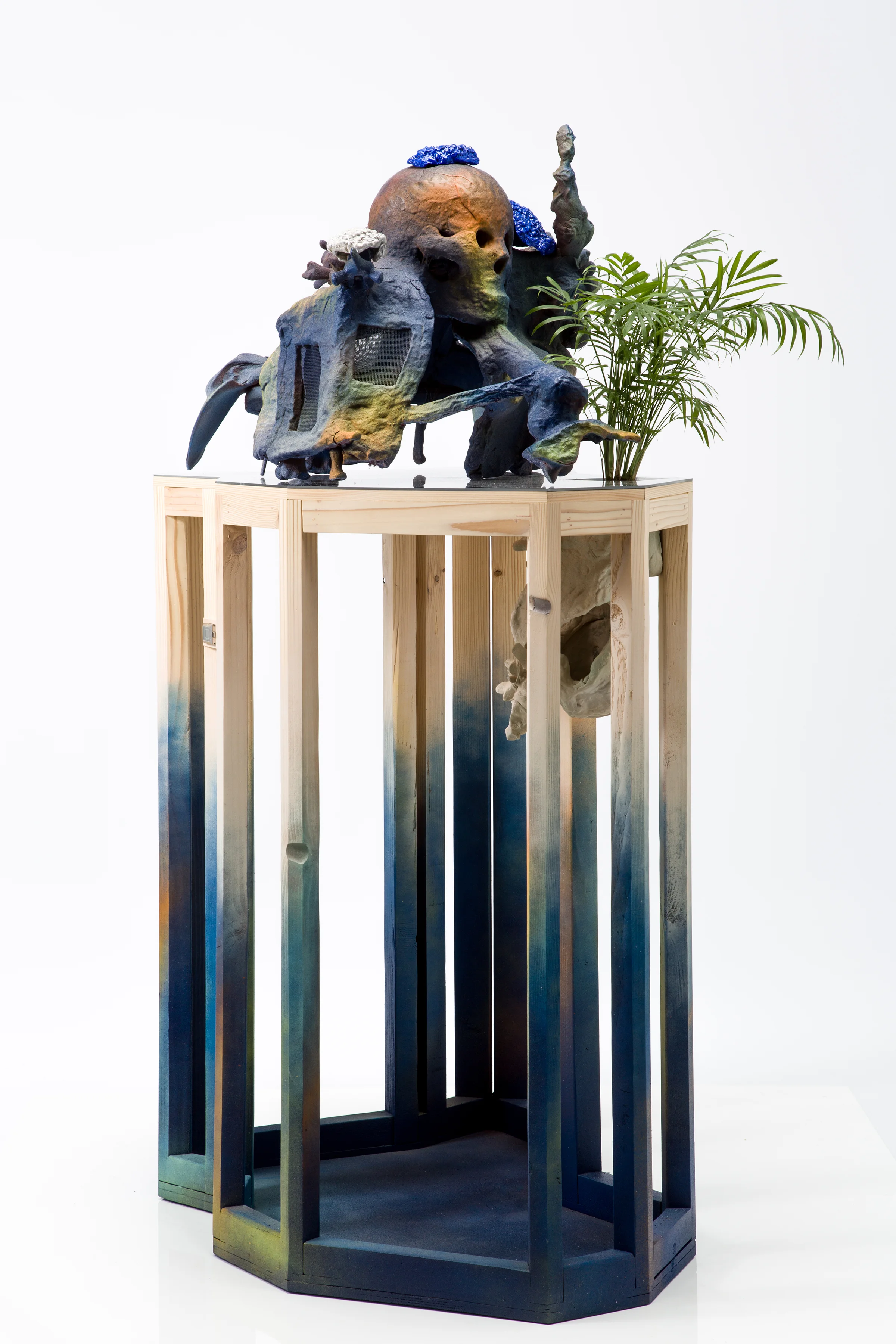 I Should Settle Down And Marry The Wind, 2014
