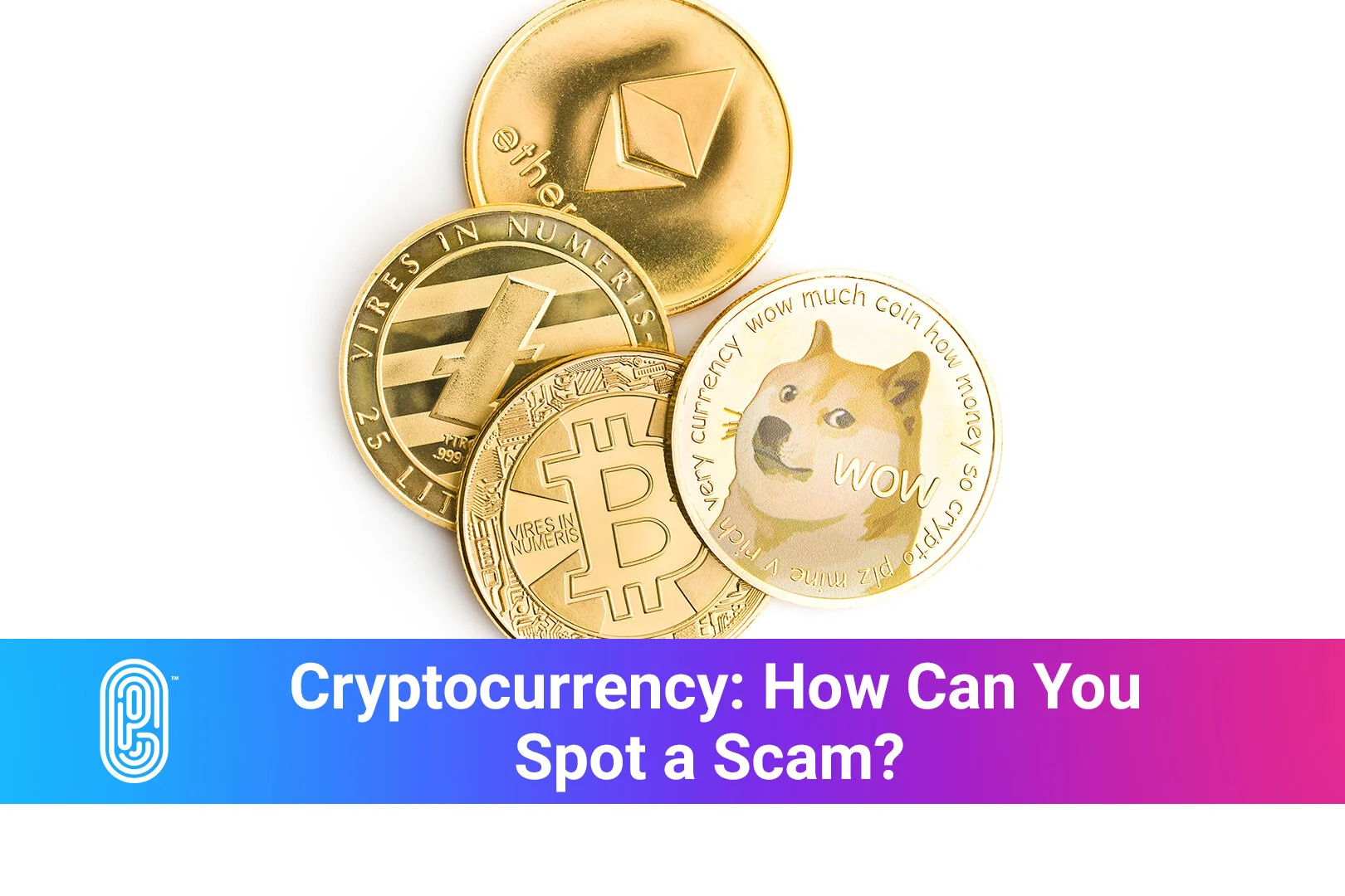 Cryptocurrency: How Can You Spot a Scam?