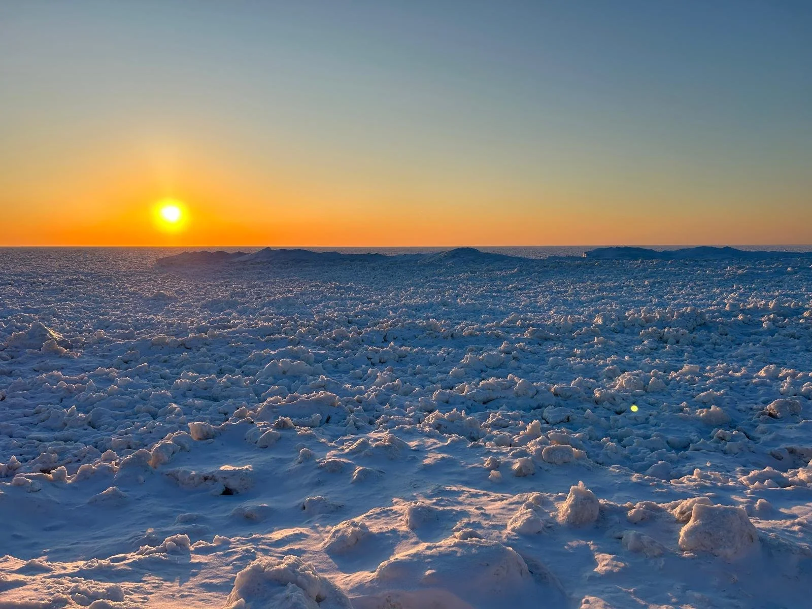 WhatsApp Image 2025-05-21 at 12.14.05_867ef3d2.jpg