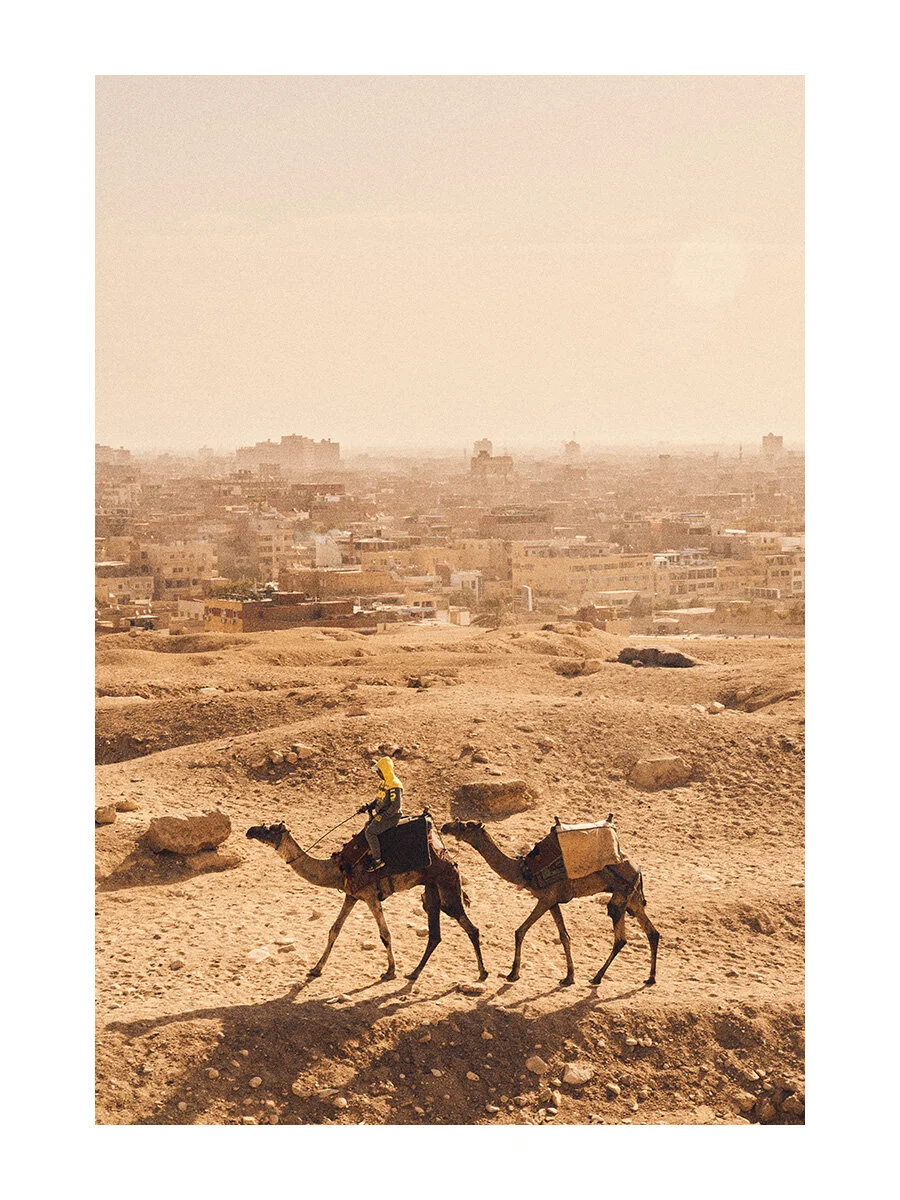 websiteEGYPT.jpg
