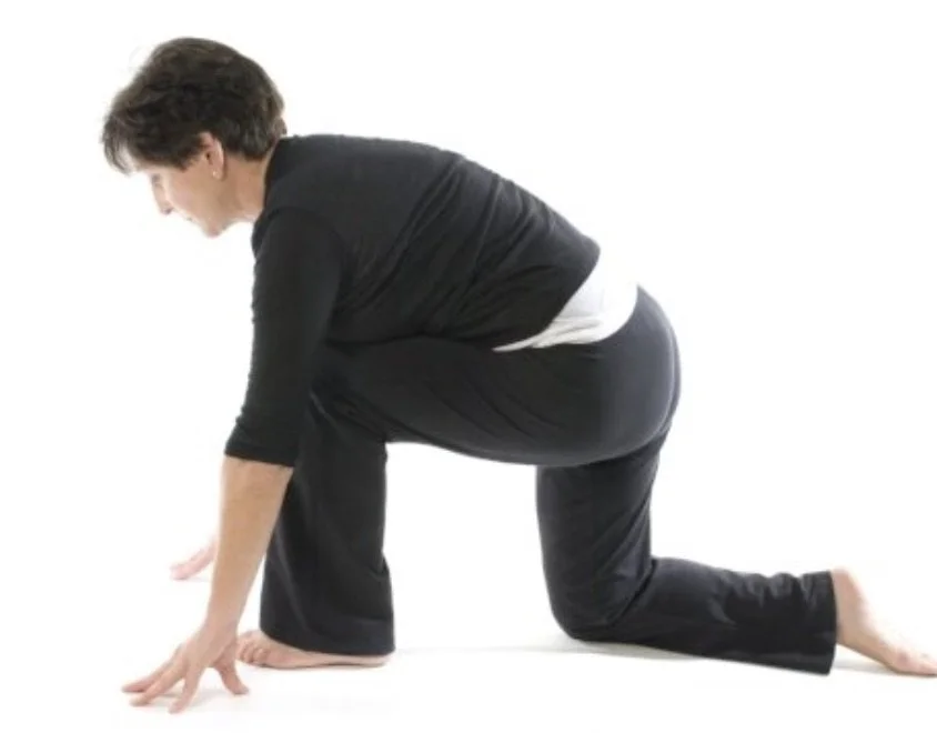 Getting Up from the Ground: Floor to Standing Transitions