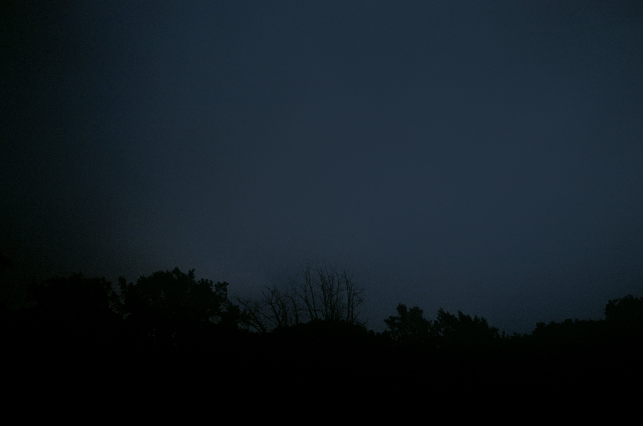 Treeline. Hudson Valley, NY.