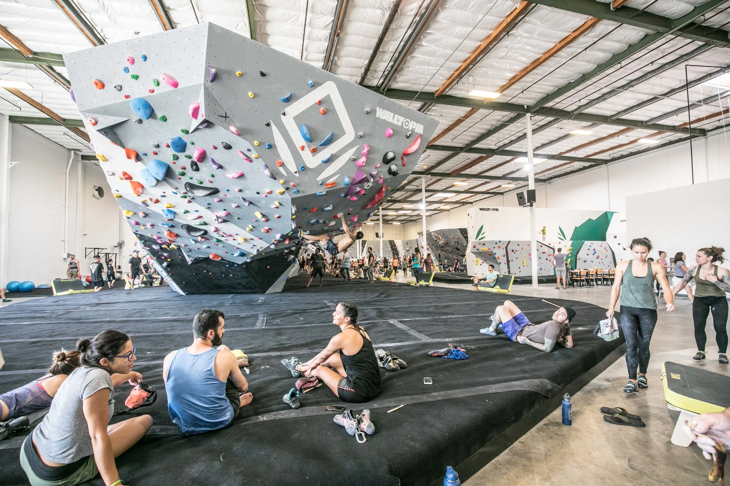 climbing 13.jpg
