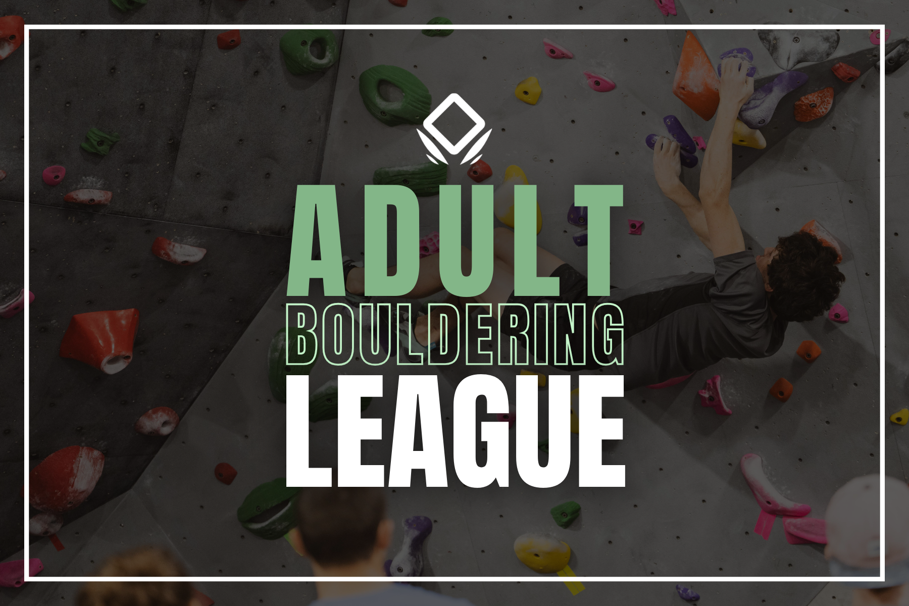 Adult Bouldering League: Season 5