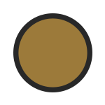Close-up of a brown circle with a black border on a plain background