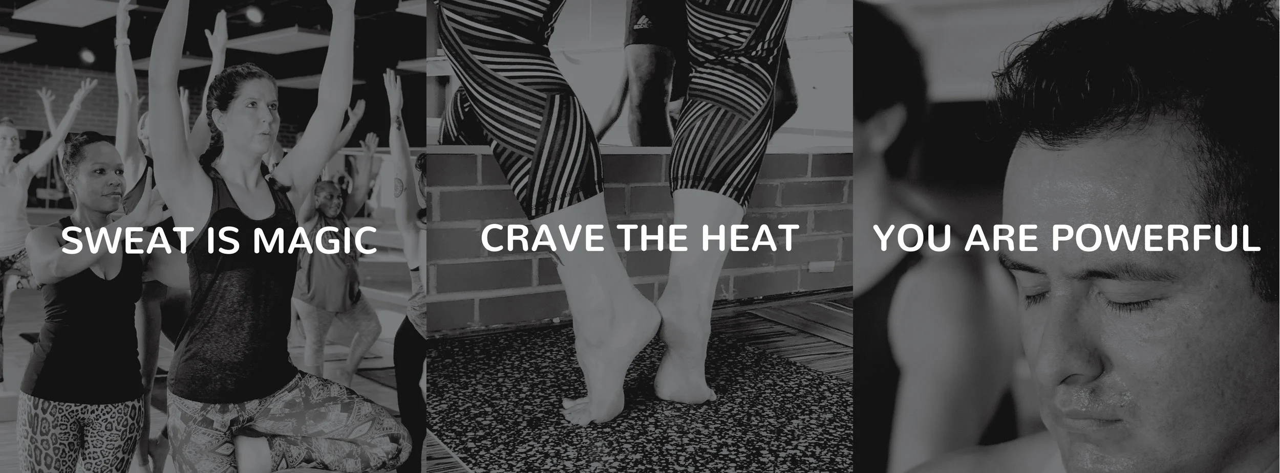Homepage Trio.jpg