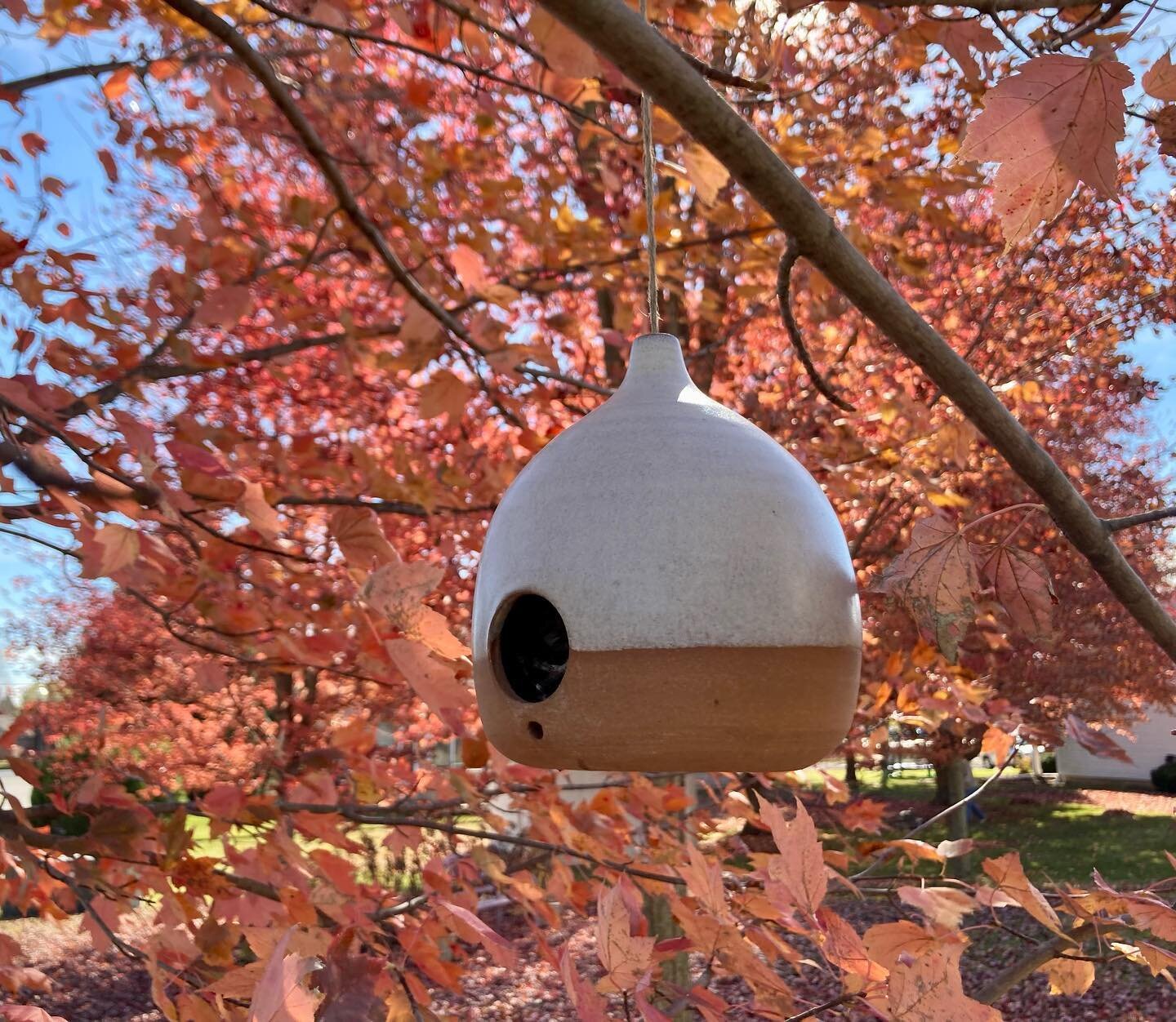 Time to take down this little birdhouse. In its first season we watched a little wren pair go from courting to building to parenting. One unassuming summer day I noticed the quiet absence of their constant twittering and scolding, realizing the babie