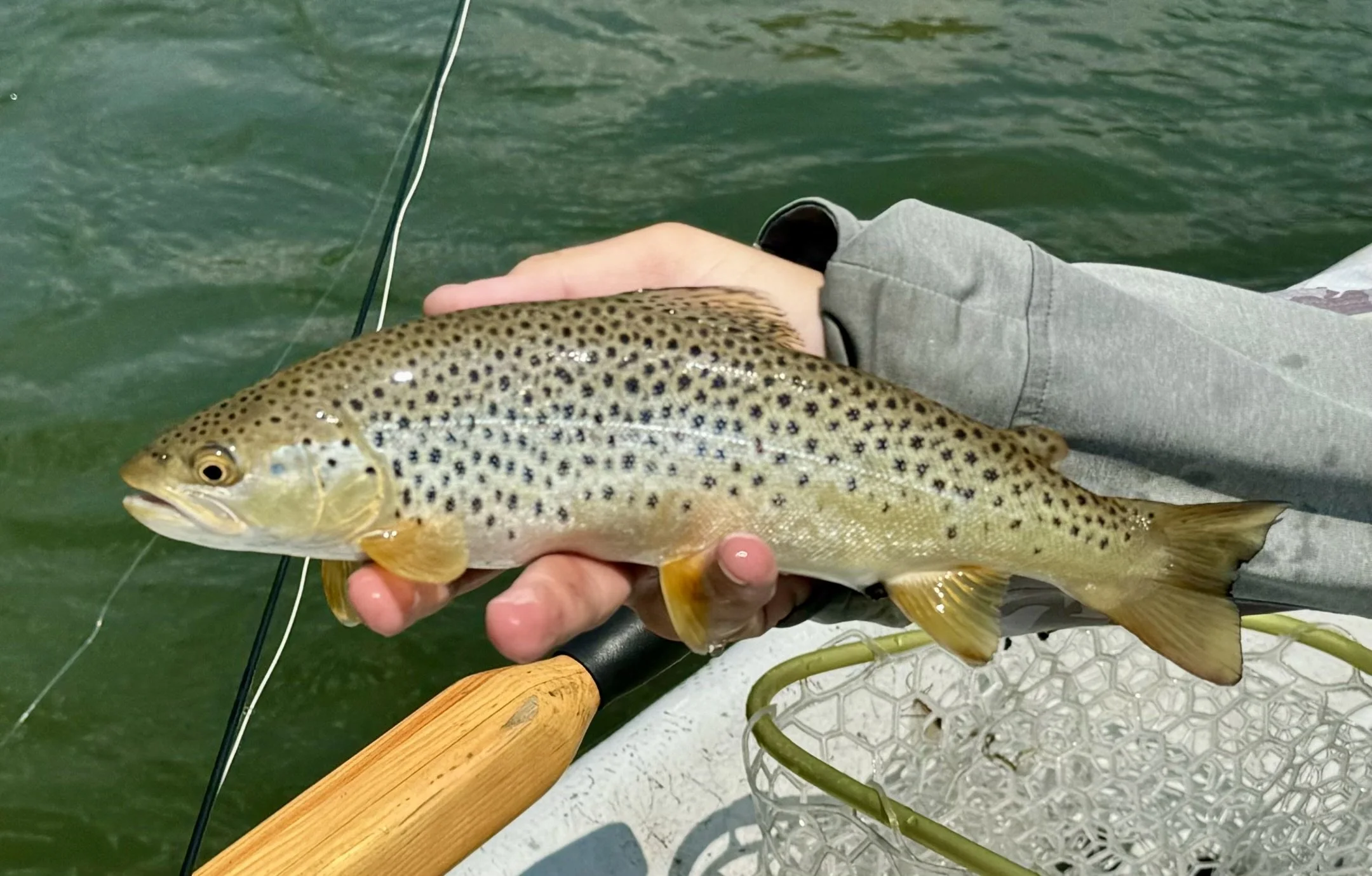 Trout Unlimited Cold Water Summit January 31