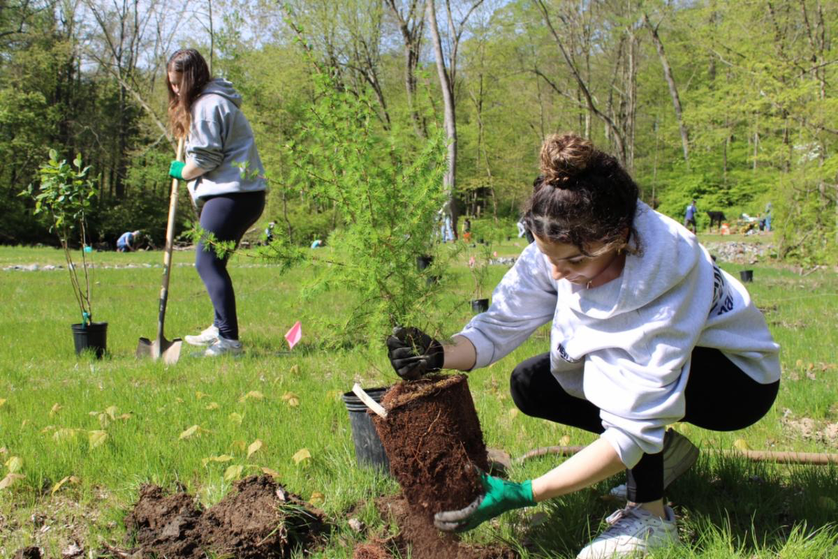 Harpeth River Tree Planting