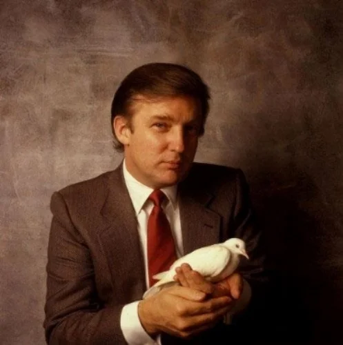 The Many Lies of Donald Trump
