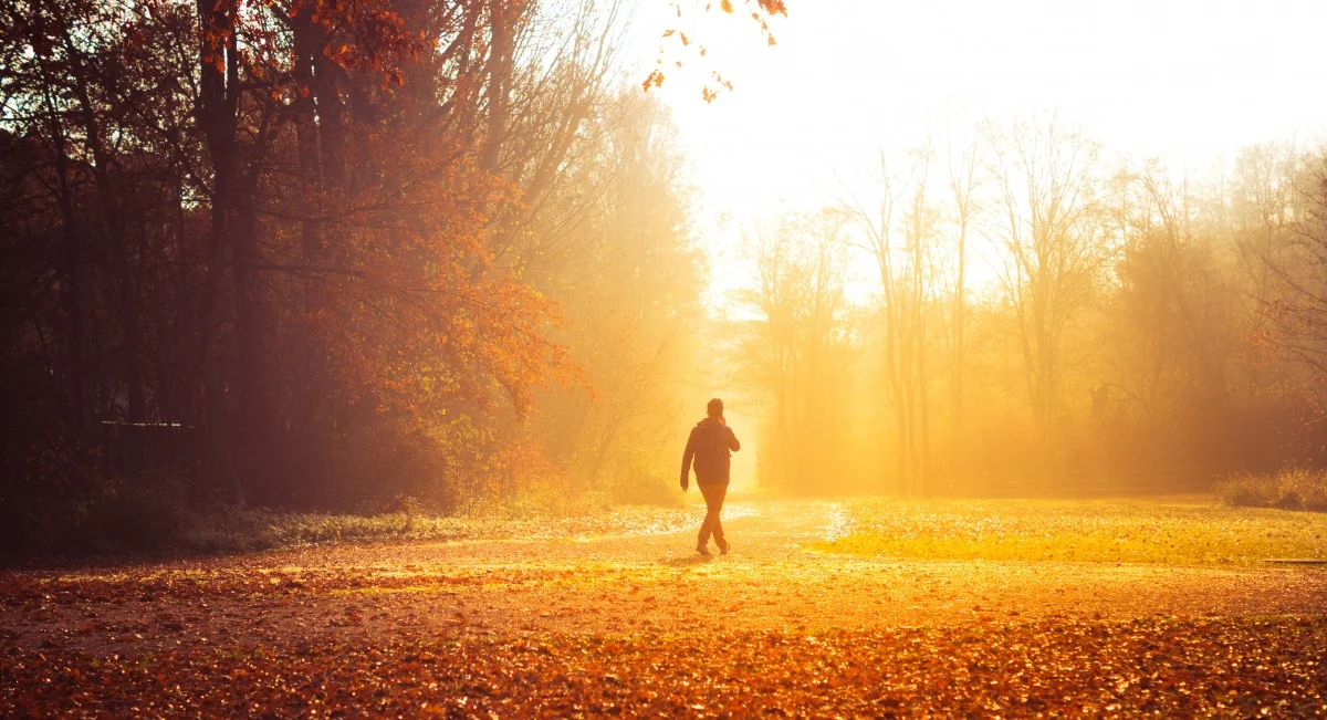 The Men Who Rake Leaves