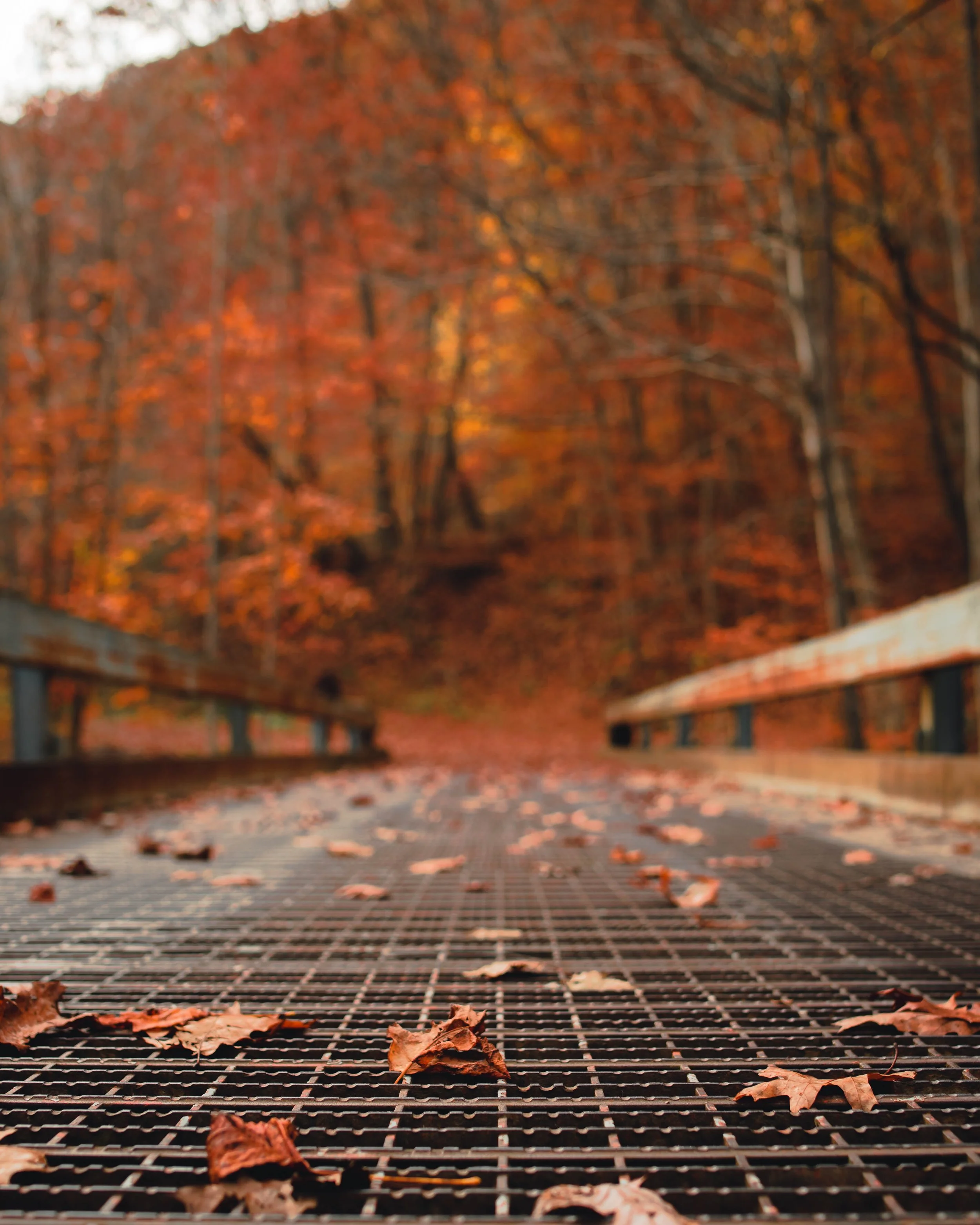 The Bridge Between Seasons