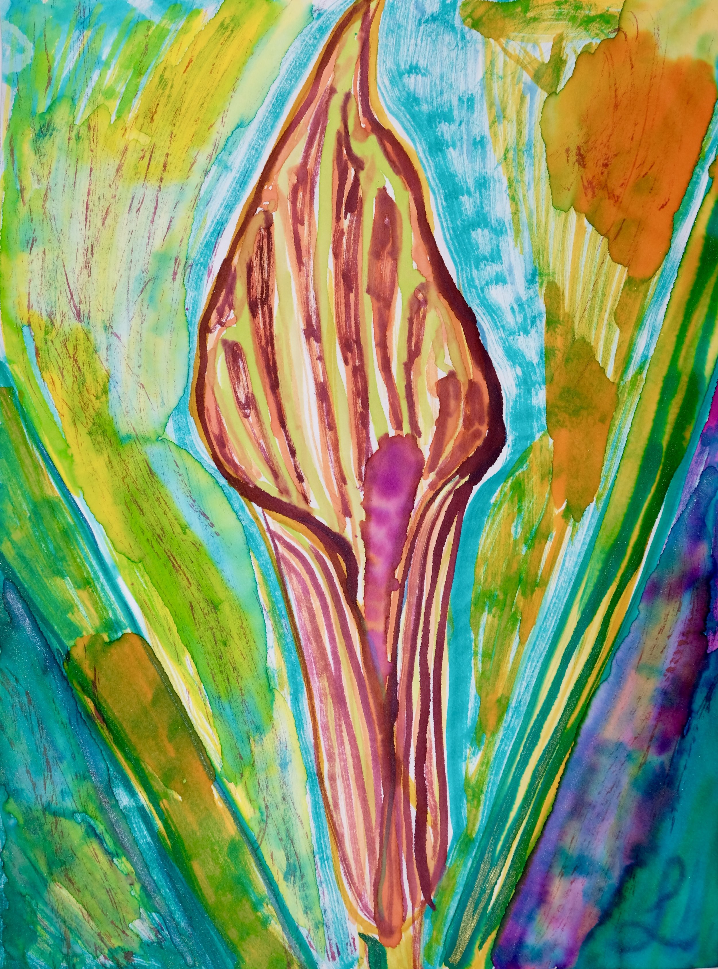 Jack in the Pulpit I, 2025, ink on Yasutomo paper, 23 x 30.5 cm.JPG