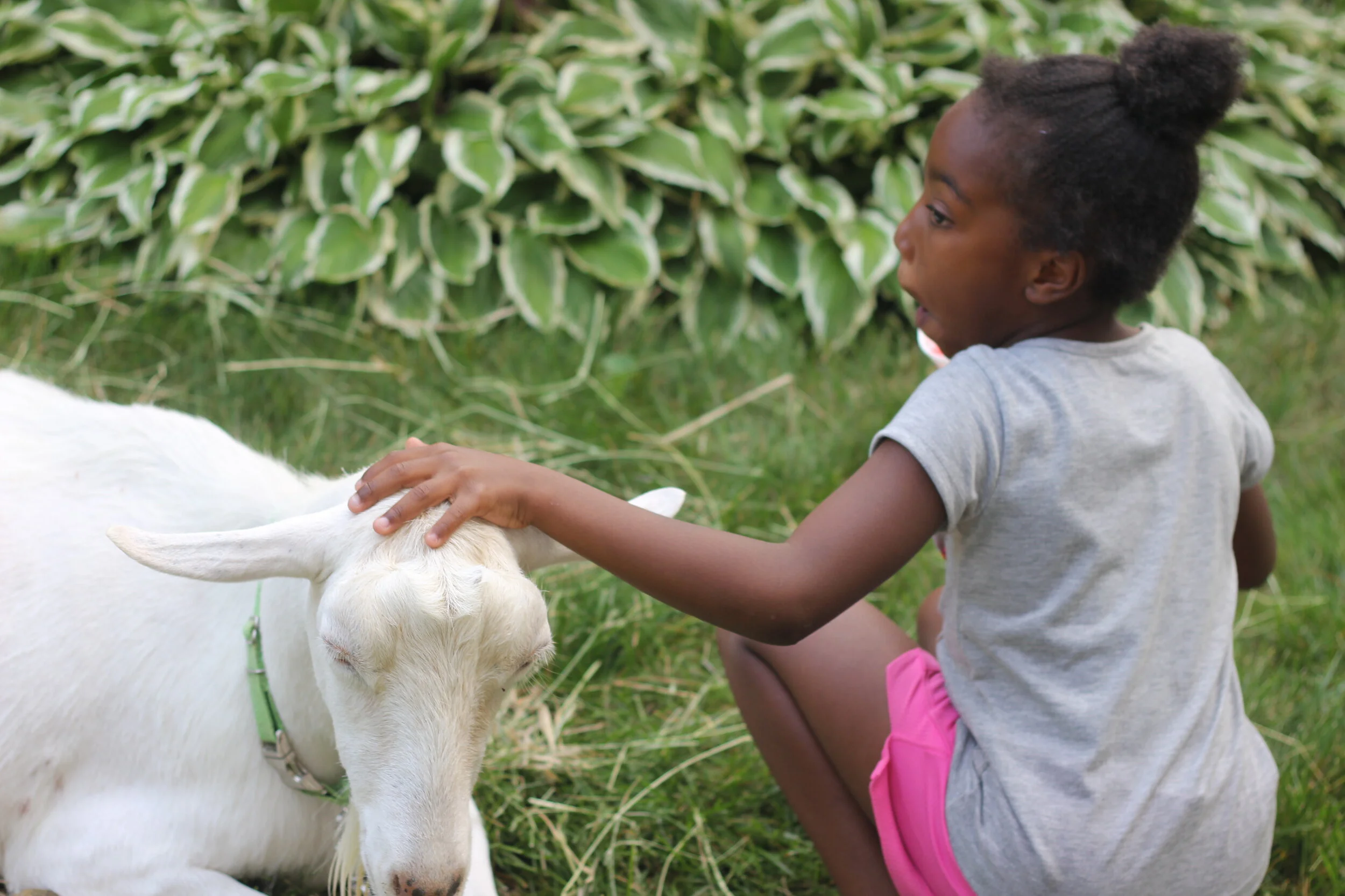 Day camp week 3 22.JPG