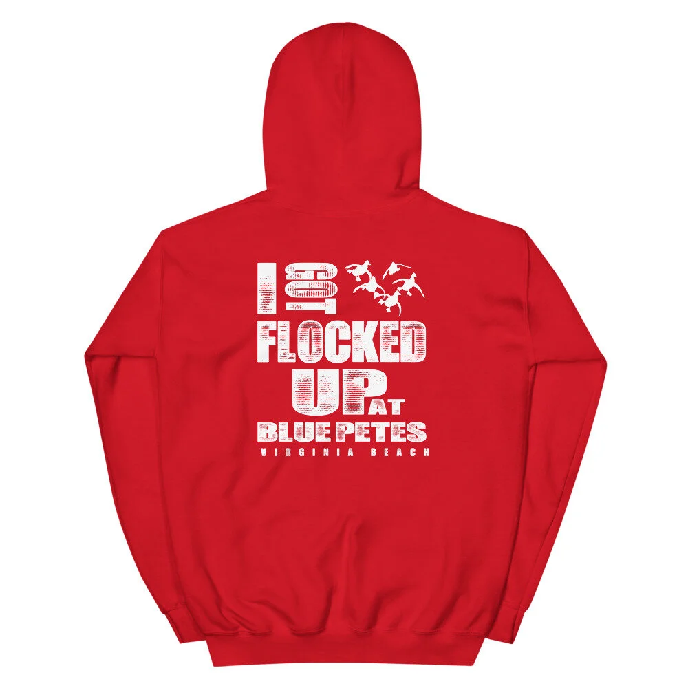 unisex-heavy-blend-hoodie-red-back-6023f633b851e.jpg