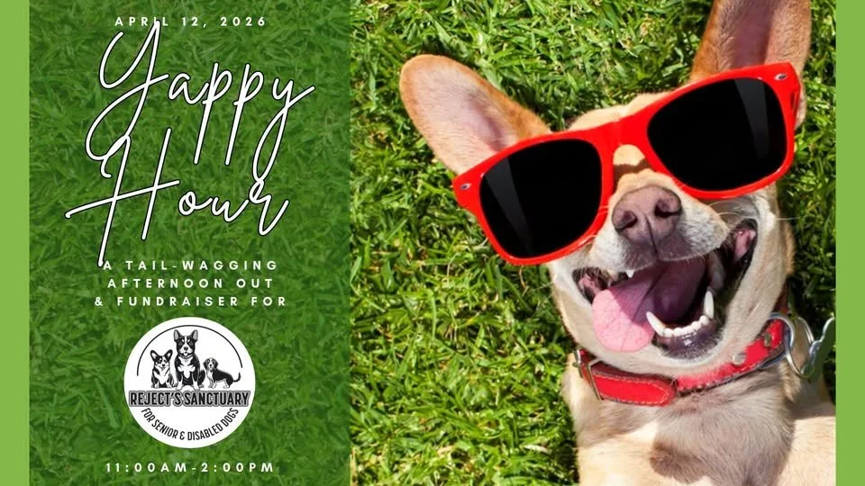 Yappy Hour for Reject's Sanctuary Dog Hospice