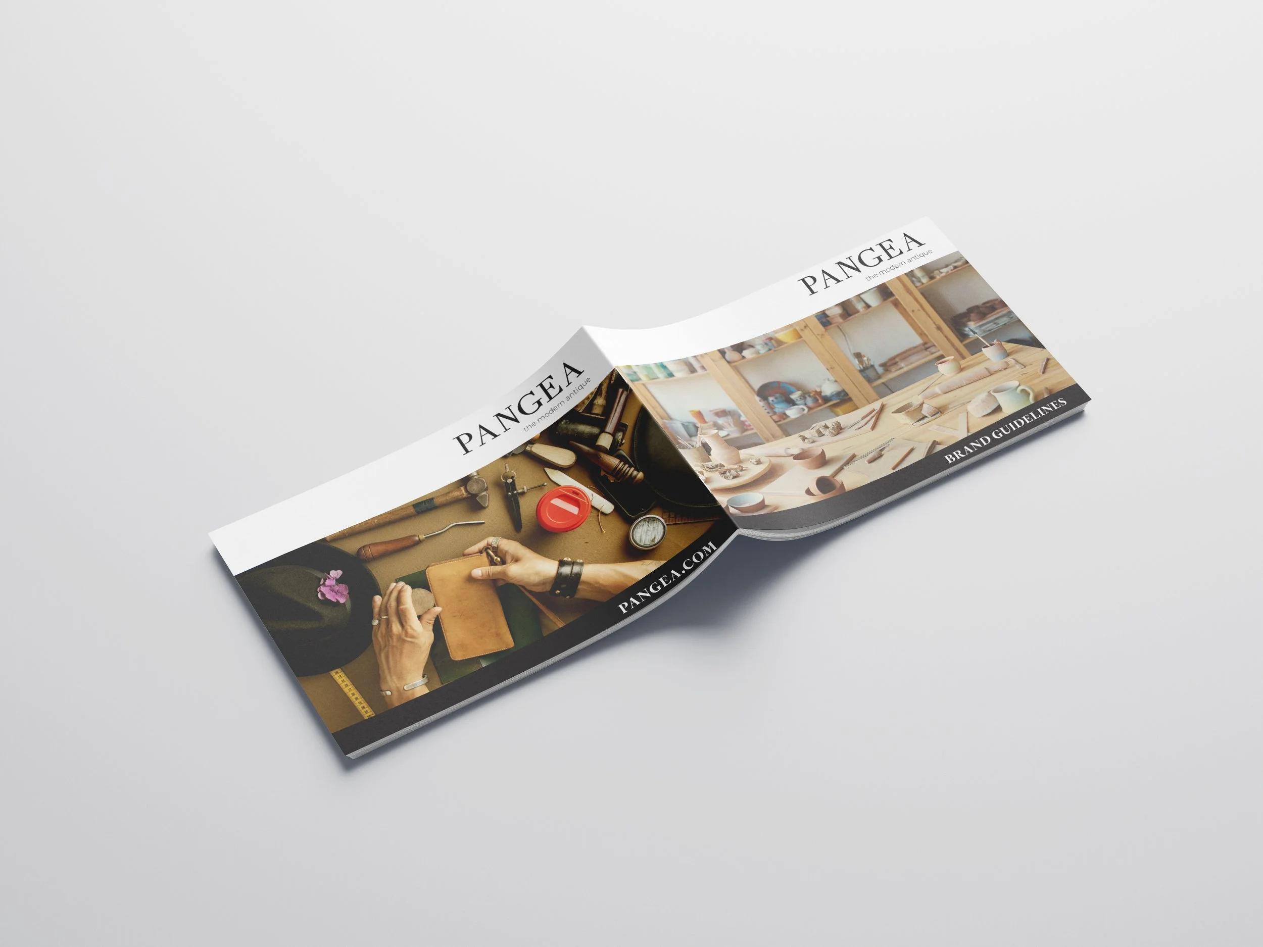 Pangea-BackCover-Mockup.jpg