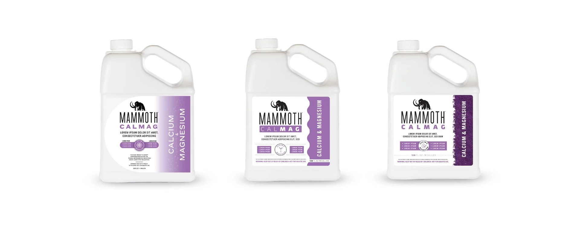 Mammoth-Calmag-3ConceptDesigns.jpg