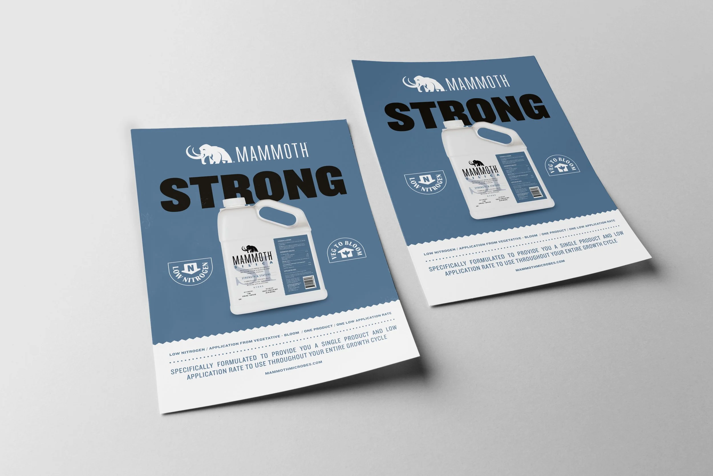 Mammoth-PrintAd-Mockup.jpg