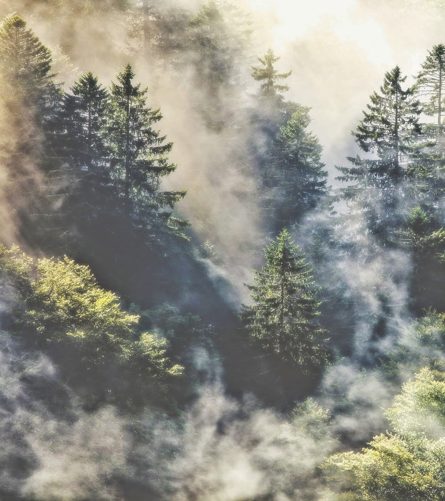 http%3A%2F%2F37.media.tumblr.com%2F10401ee429819e5bf5a8d2d0c24a55af%2Ftumblr_n6ebtllDKH1r5fap7o1_1280.jpg