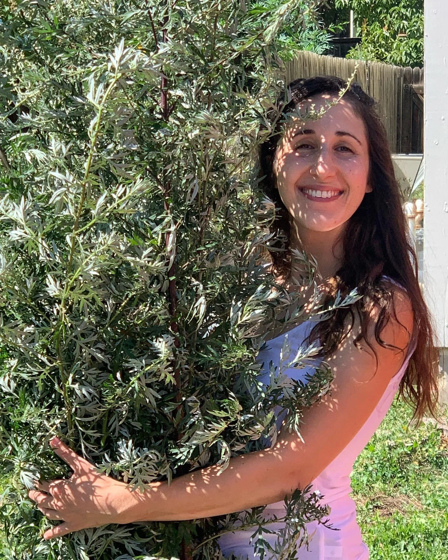 Cronewort Connection, and intro discussion about Cronewort aka, Mugwort