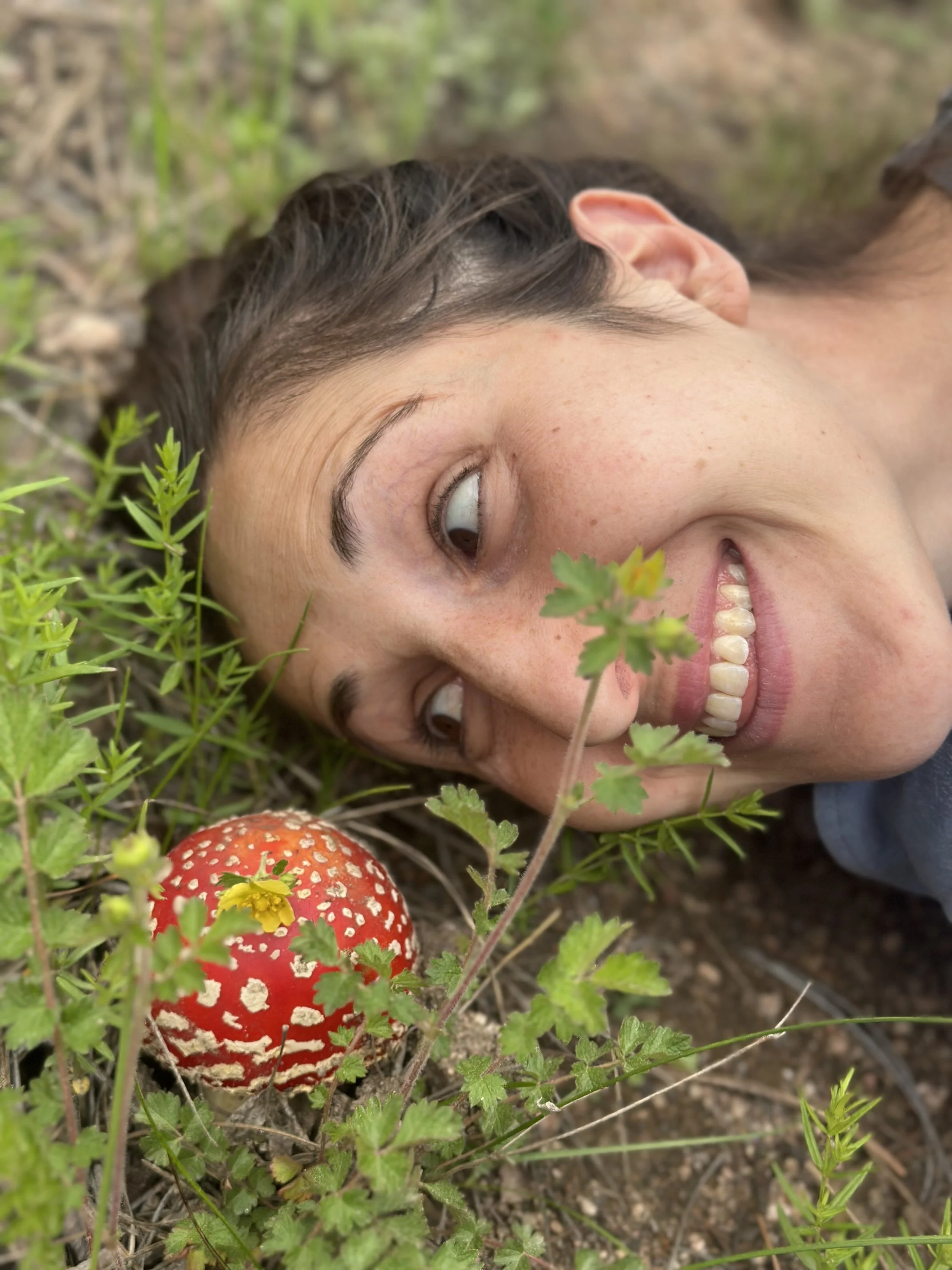 Back to Your Roots: A Seasonal Journey with the Plants