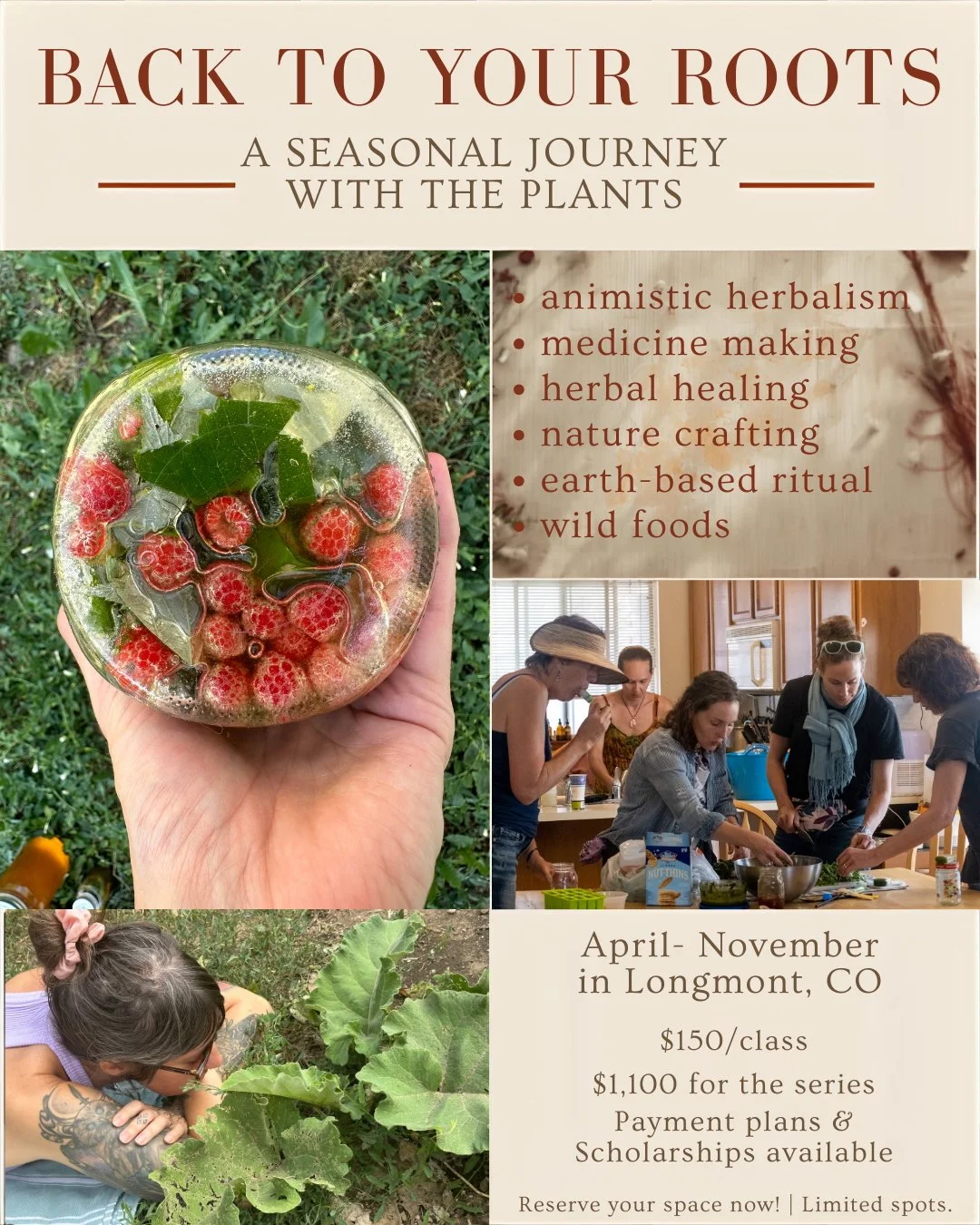 Back to Your Roots: A Seasonal Journey with the Plants