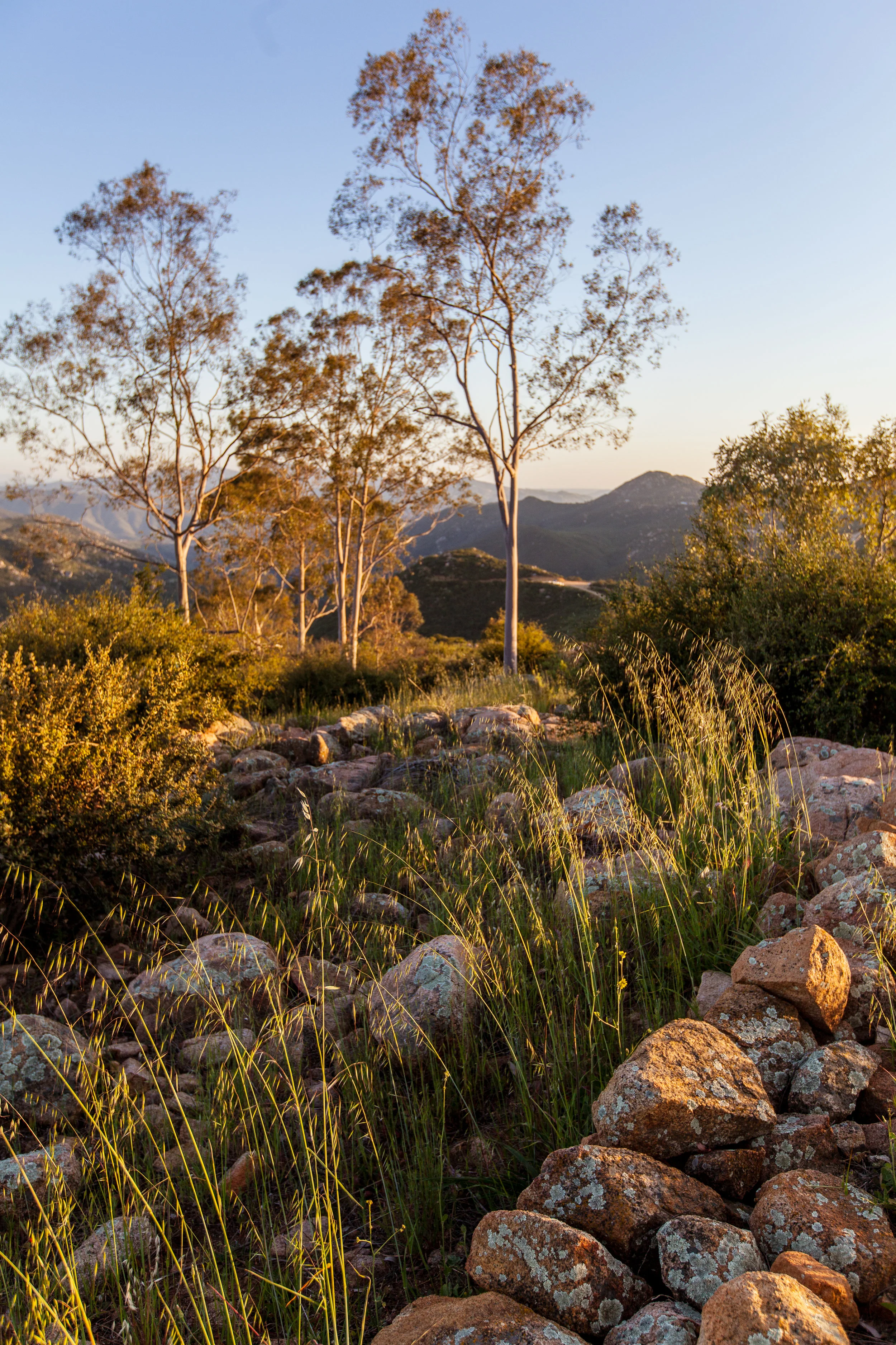 CrownHillRanch-FINAL PHOTO-27.jpg