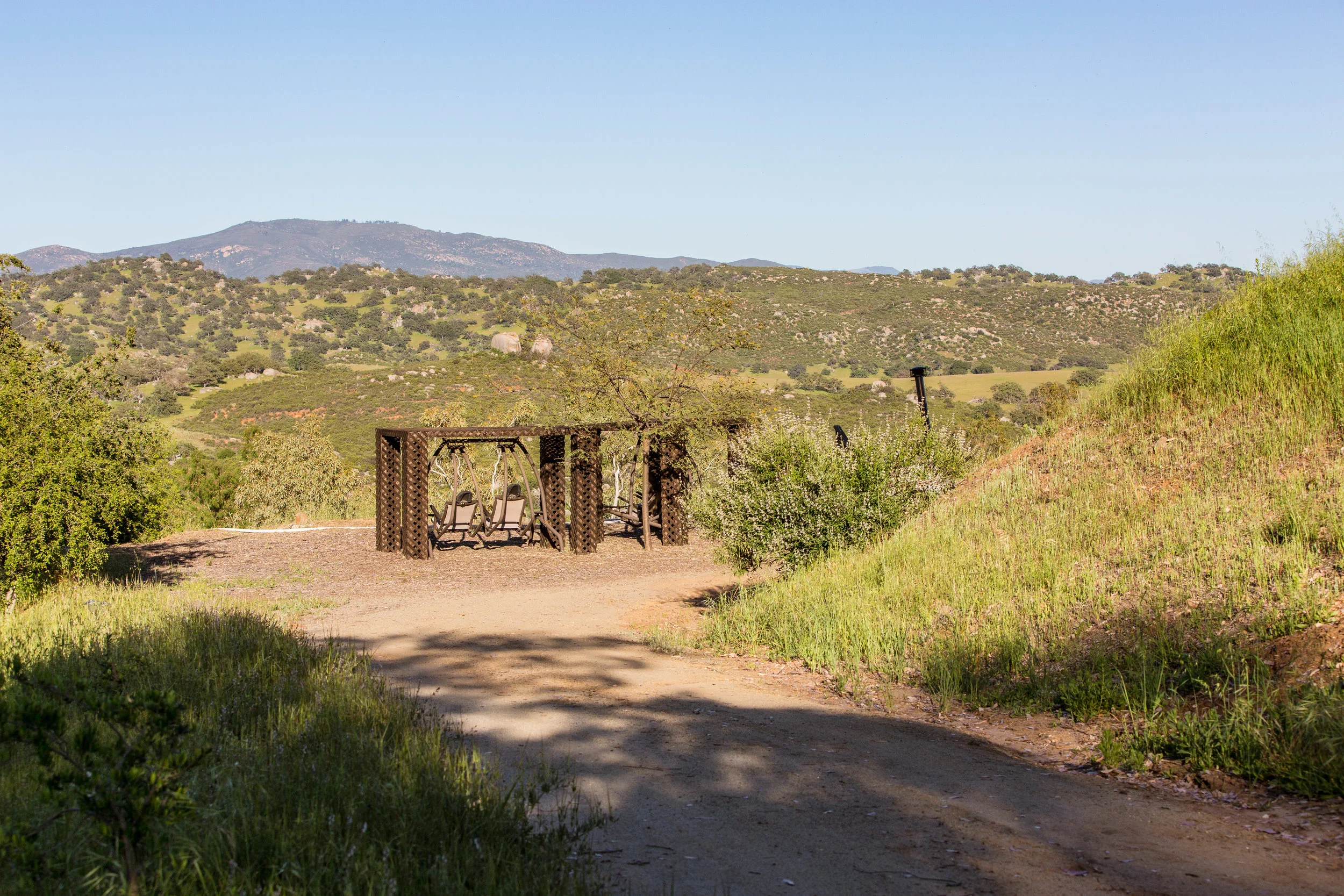 CrownHill2019-41.jpg