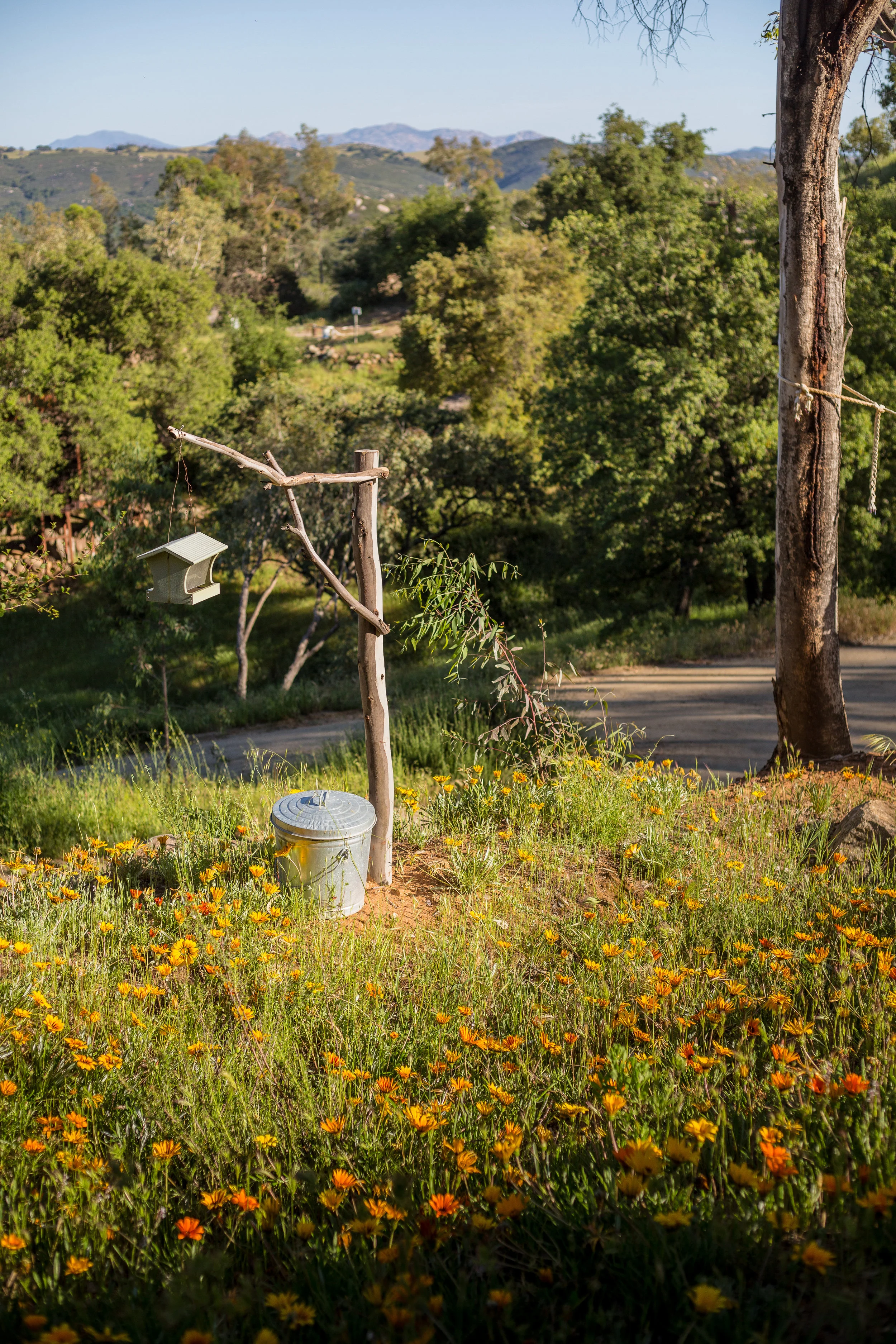 CrownHill2019-26.jpg