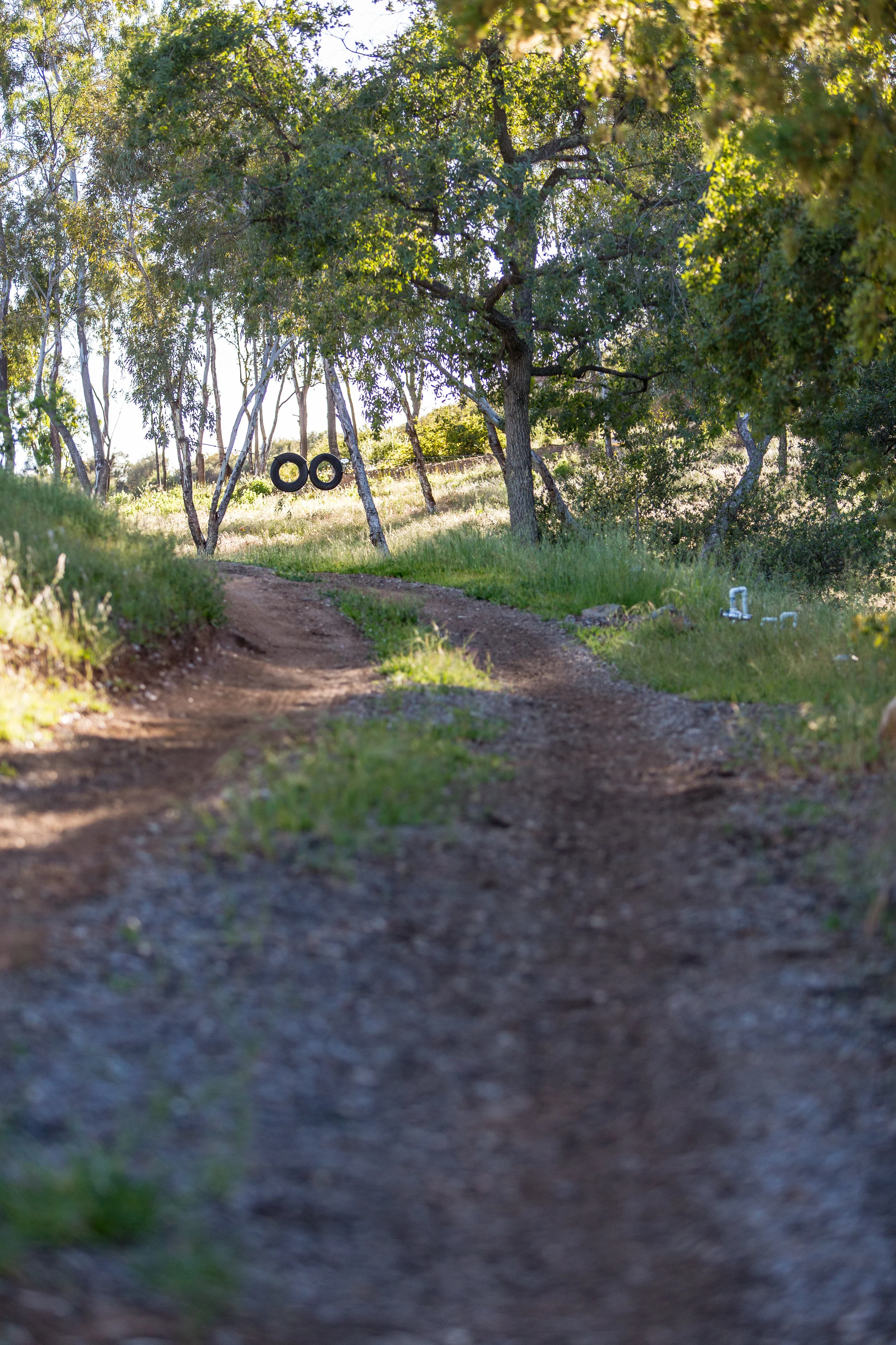CrownHill2019-39.jpg