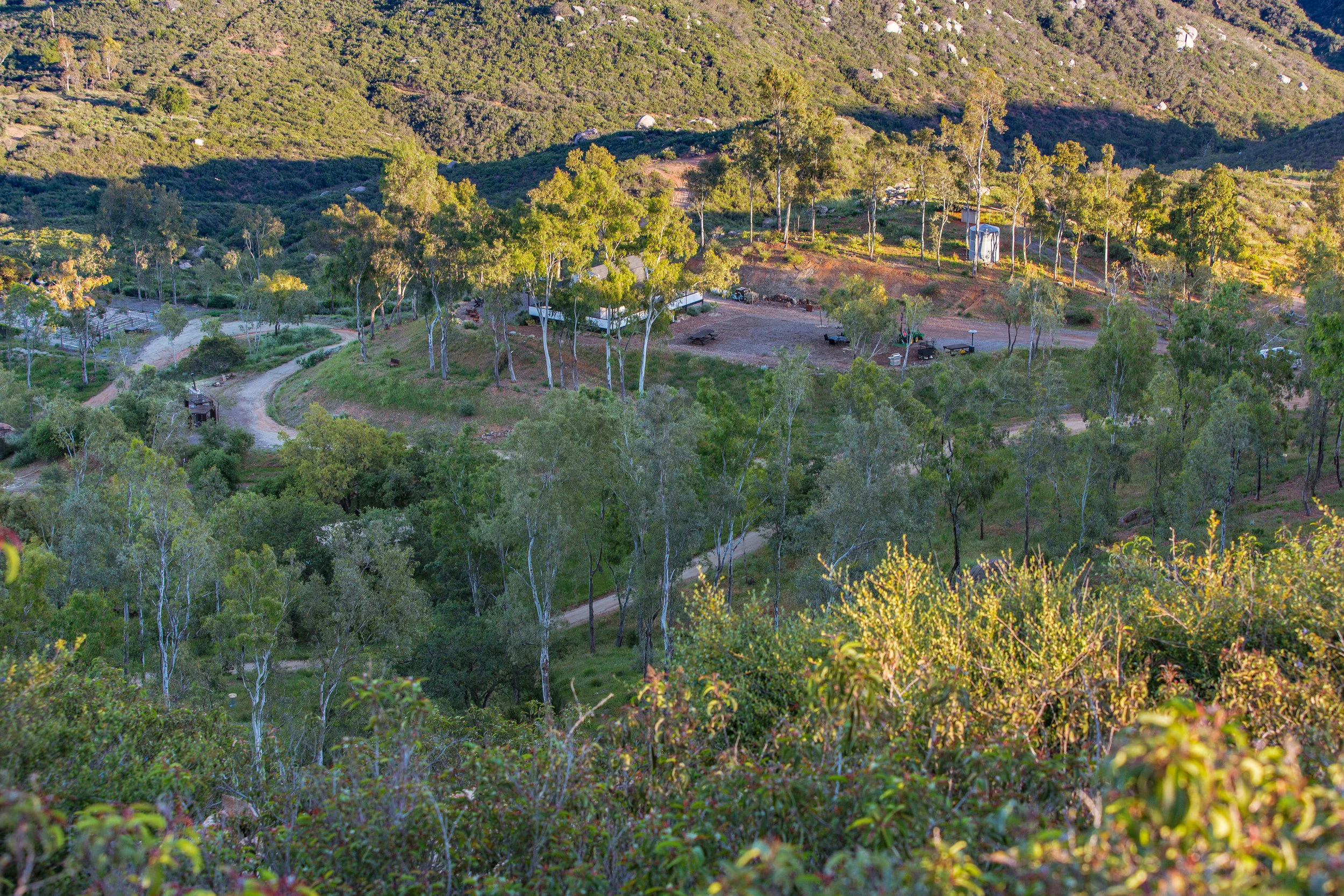 CrownHill2019-59.jpg