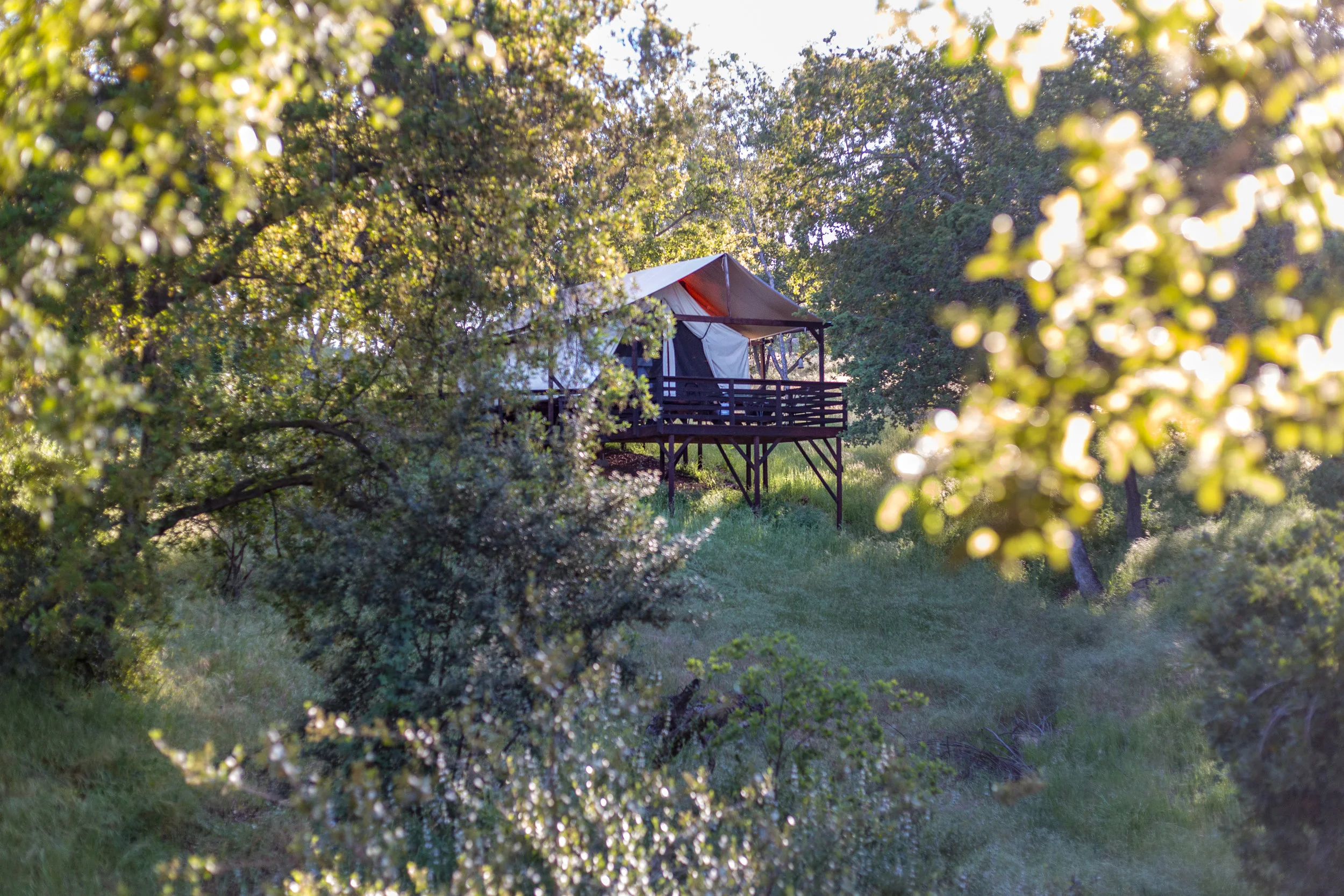 CrownHill2019-38.jpg