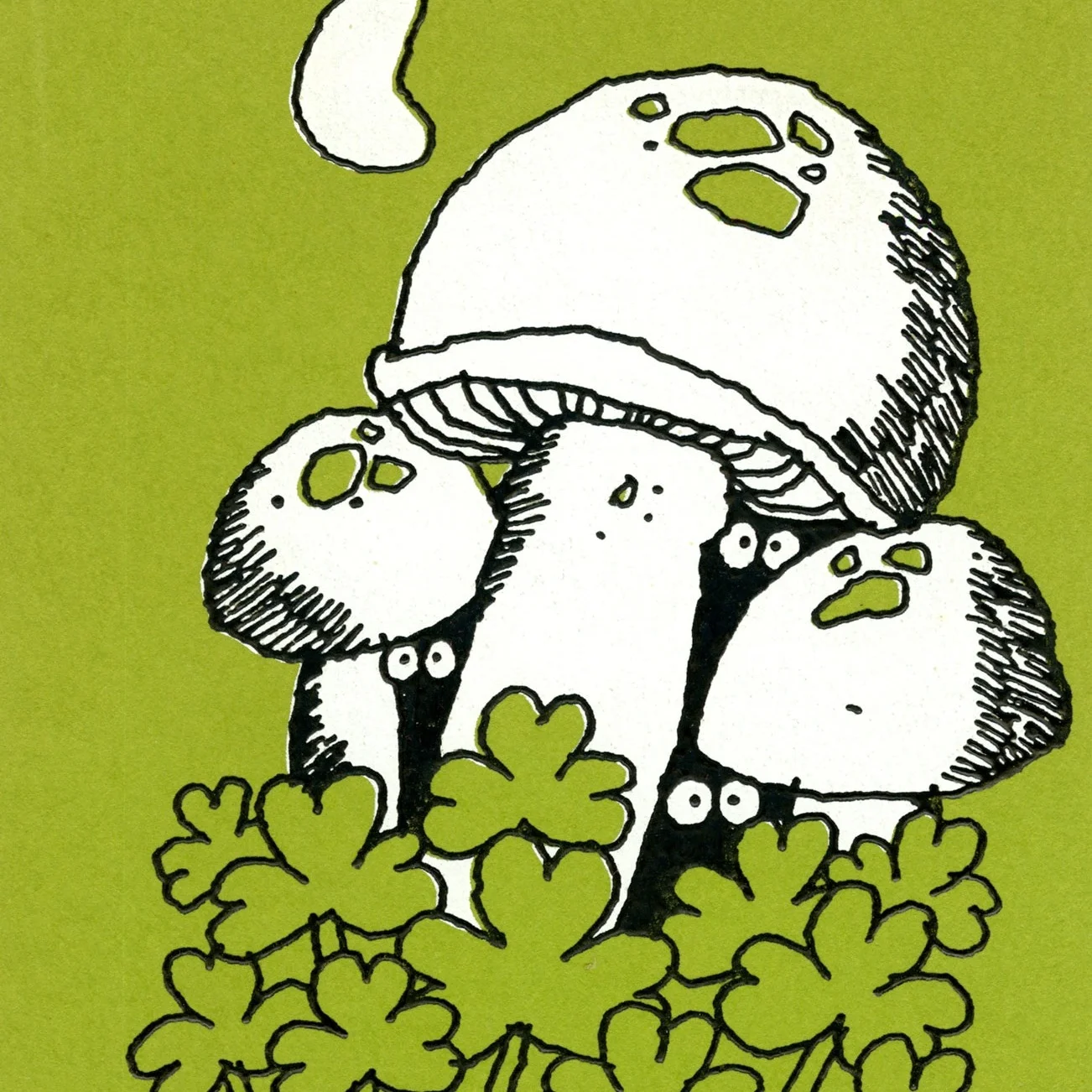 shroom1.jpg