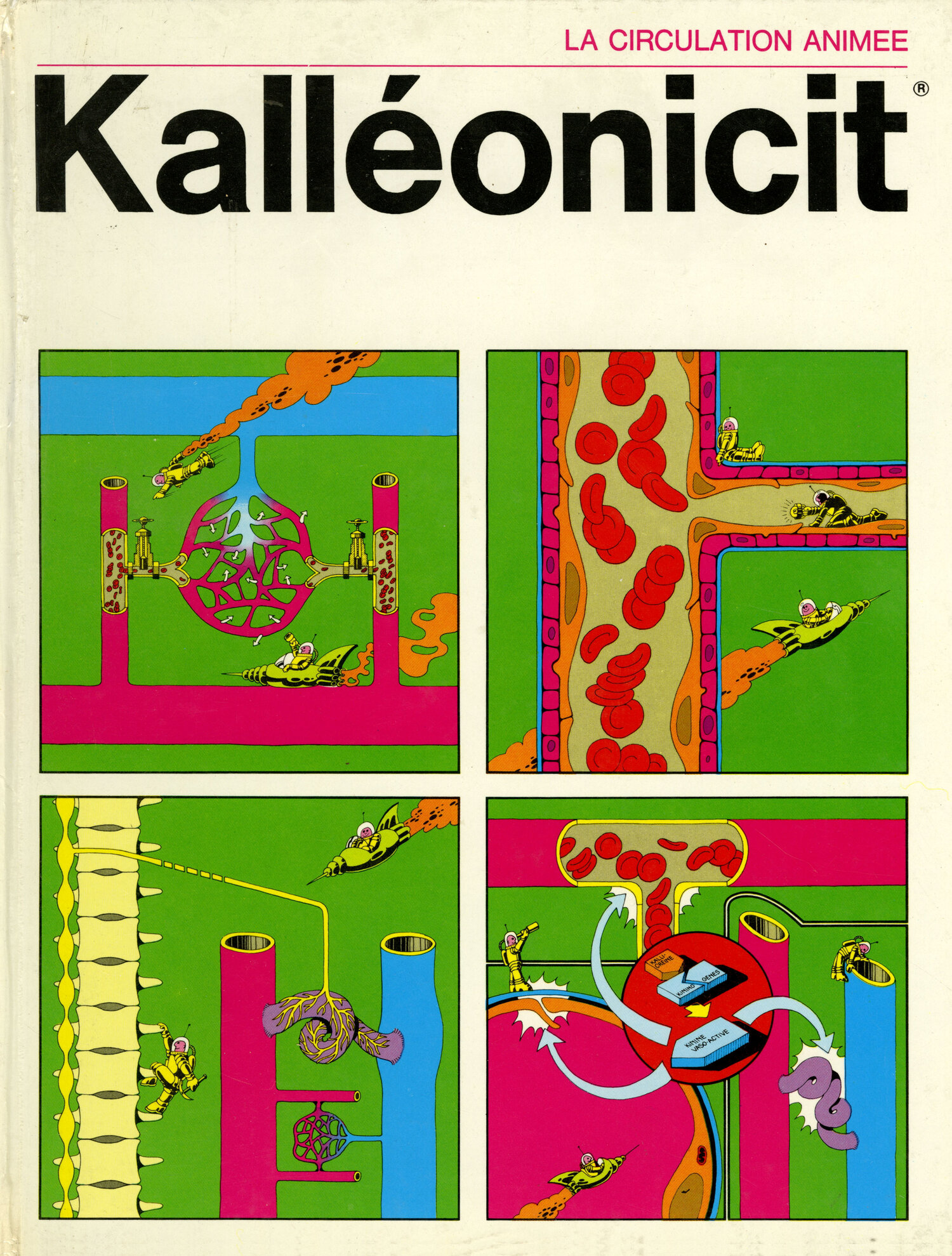 KALLEONCIT