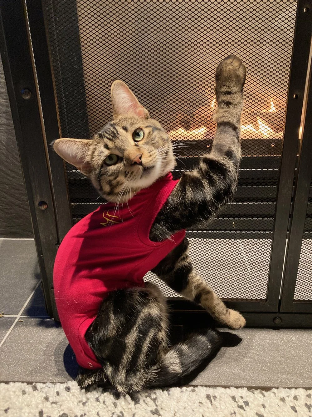 We're Walking for Renault