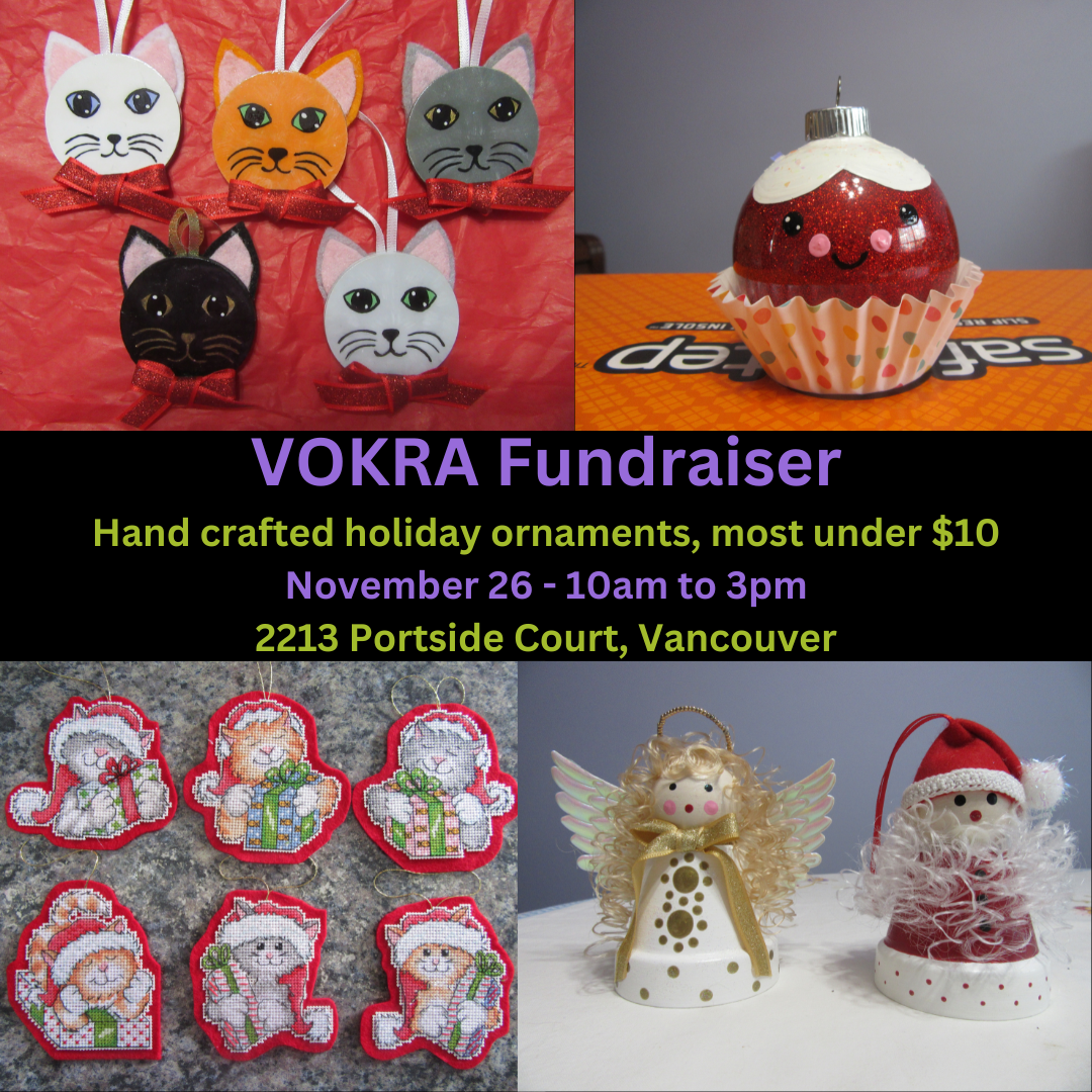 VOKRA Ornament Fundraiser .png