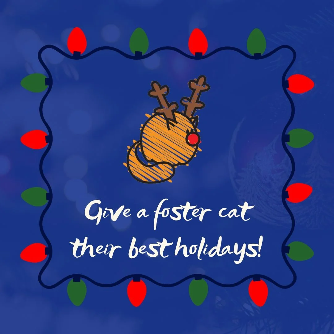 Give a foster.jpeg
