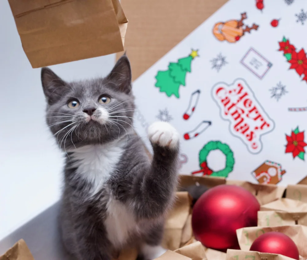 AdventCal2021_ - 3.jpeg