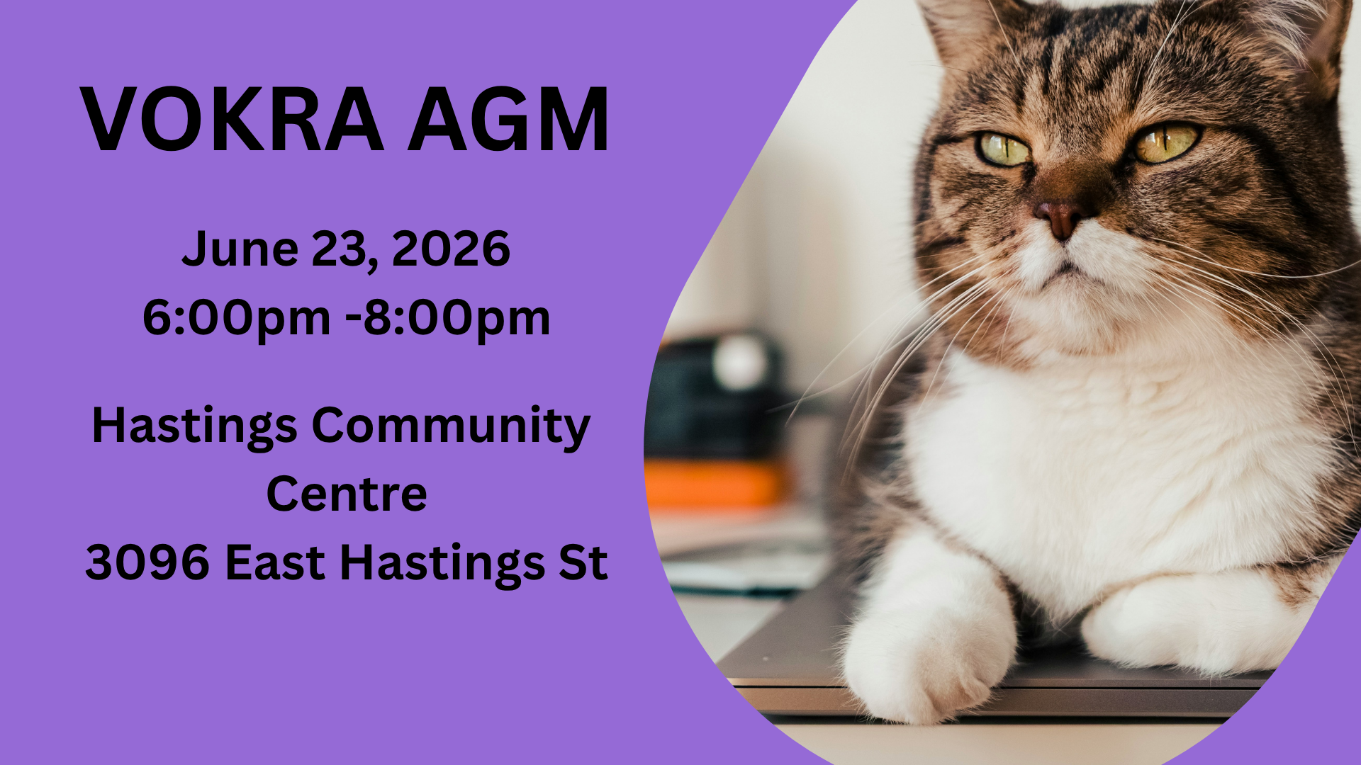 2026 Annual General Meeting (AGM)