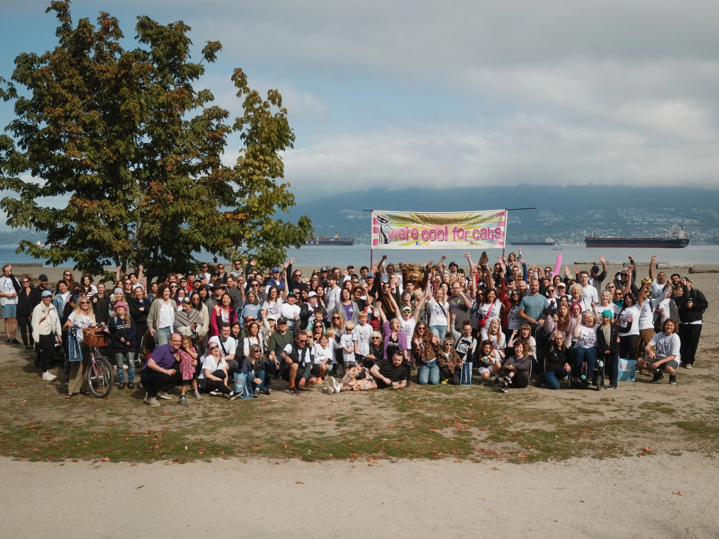 Walk for the kitties: What a day!