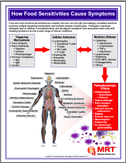 MRT-how food sensitivities cause symptoms-Resized .png