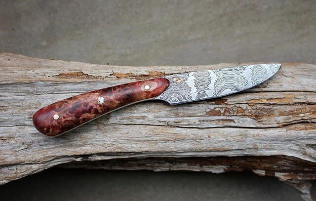 Just added this paring knife to my website. Forged from 1095/15N20 pattern-welded damascus with a beautiful handle of stabilized/dyed Poplar burl ( @stab_wood ) with white G10 liners, peened bronze pins and a central &ldquo;dog paw&rdquo; mosaic pin.