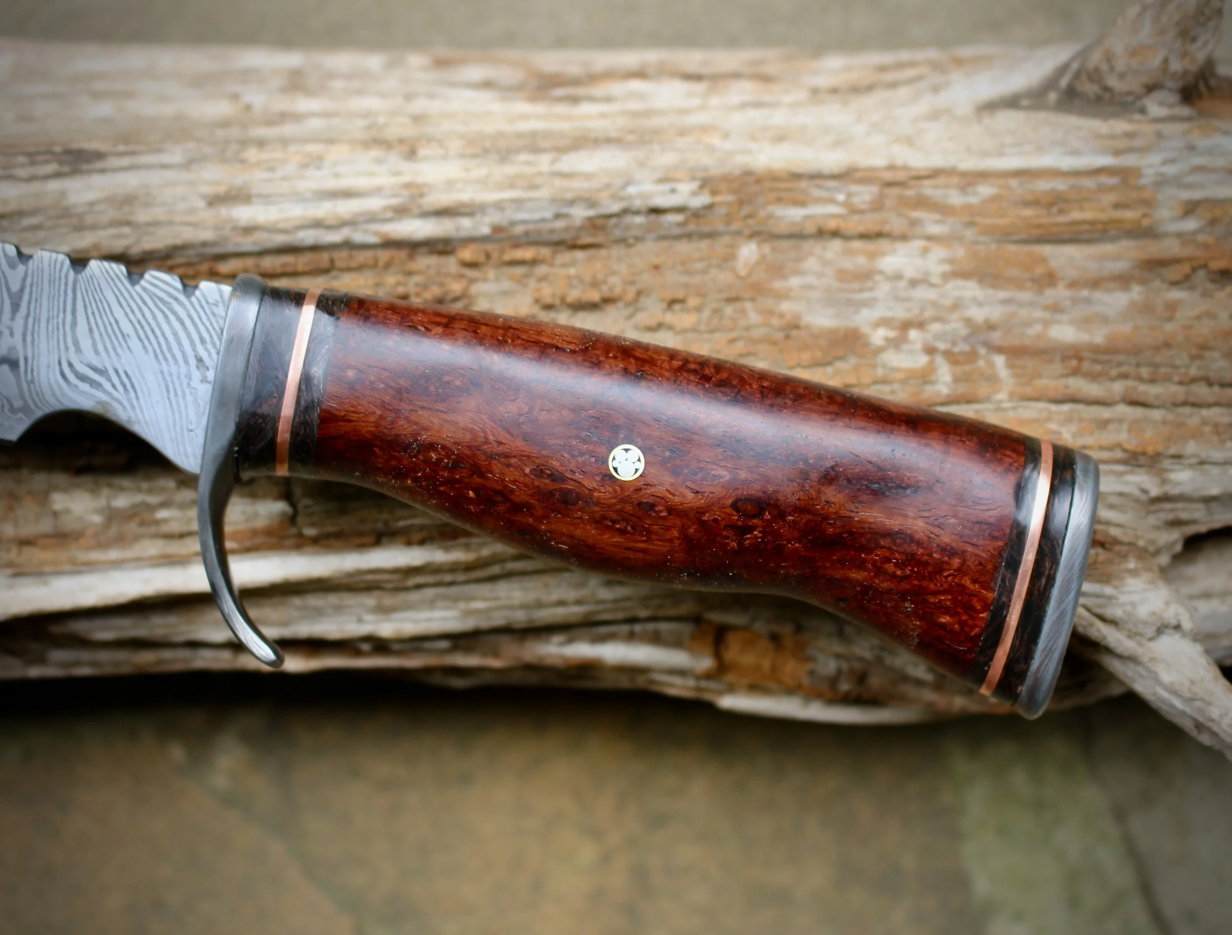 IMG_6023.JPG