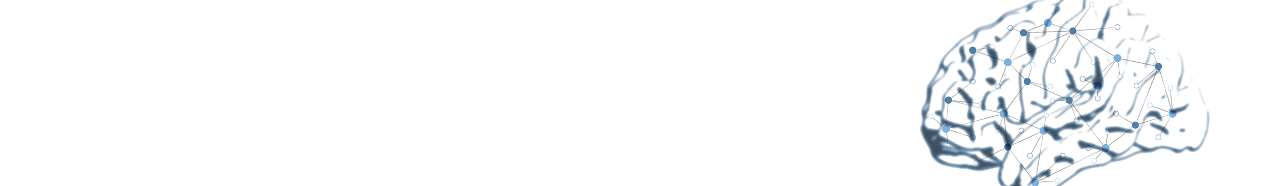 netProjects-11.png