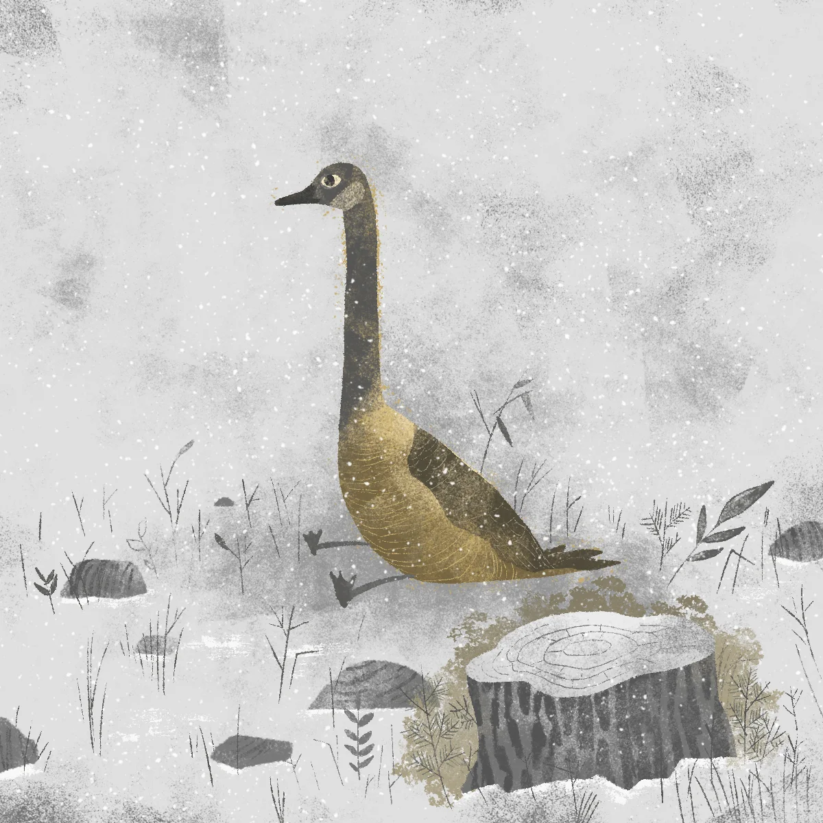 geese2.jpg