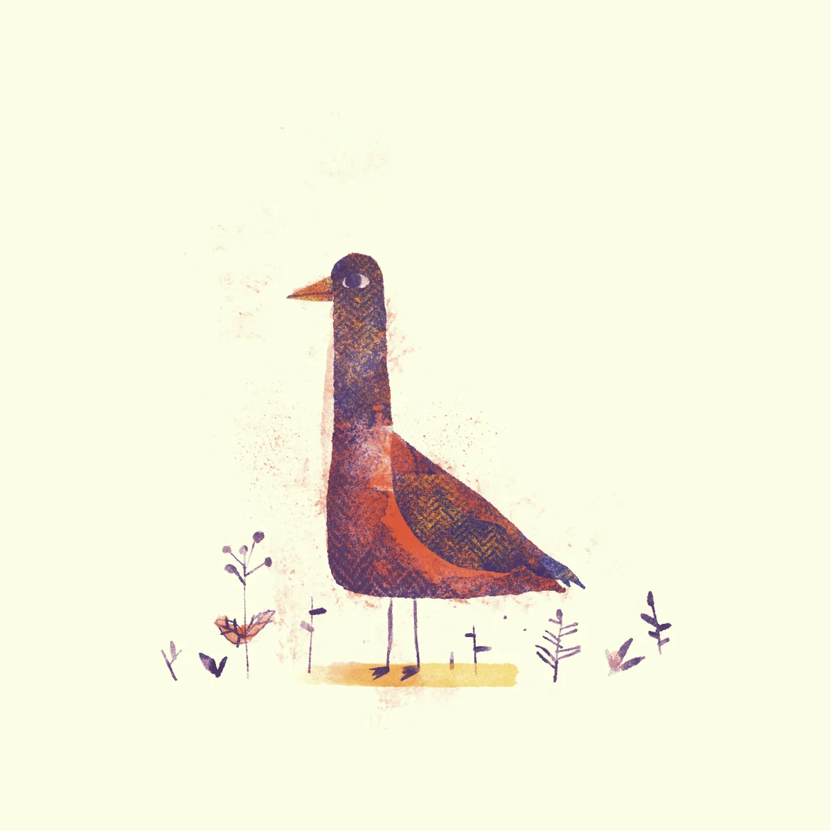 NewDuck.jpg