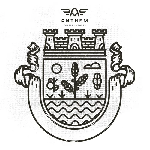 AnthemBagNew.jpg