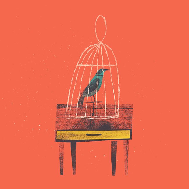 BirdinaCage.jpg