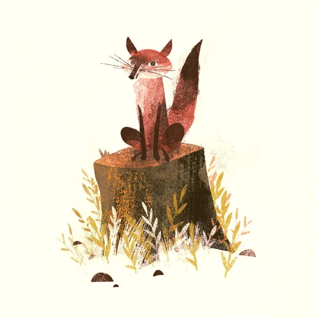 LittleFox.jpg